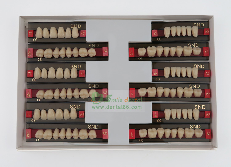 R201 Two Layer Acrylic Resin Teeth
